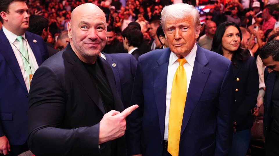 It has helped make the UFC a multi billion-dollar juggernaut and in the process become one of most powerful men in combat sports with a direct line to President Trump