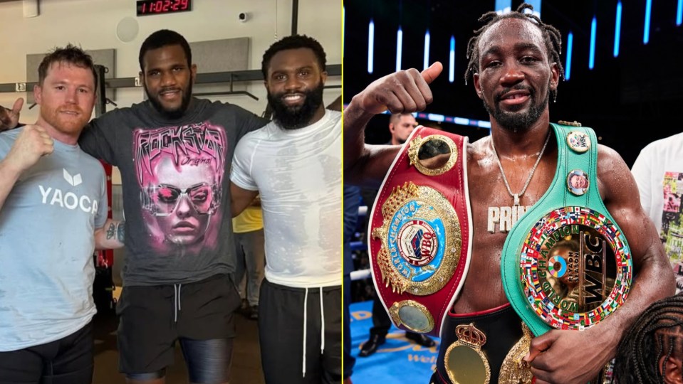 Canelo is wary of Crawford's tricky and rare style, and has reached out to top talents for help